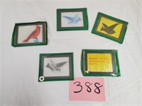 Science Study of Birds Glass Slides