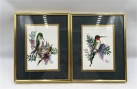 Diane Cristopher Hummingbird Watercolor Paintings