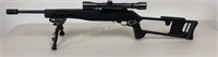 Custom Ruger Rifle 10/22 22LR Caliber Semi Auto