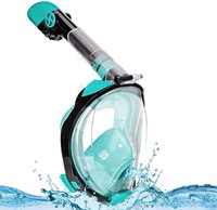 IClique Full Face Snorkel Mask