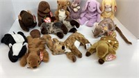 Wildlife beanie babies lot.