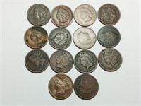 OF)  (14) Indian Head pennies