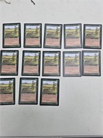 G) Magic the Gathering Card(s), as pictured