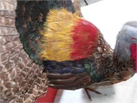 REAL FEATHER TURKEY
