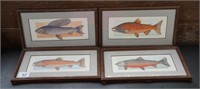 (4) Assorted Fish Prints