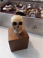 Carved Bone Skull Head on Stand