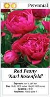 5 Karl Rosenfeld Double Red Peony Plants