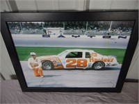 Cale Yarborough #28 Hardees Picture