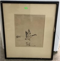 Duck In-flight Sketch Artist Signed And Numbered