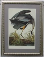 Great Blue Heron by John J. Audubon
