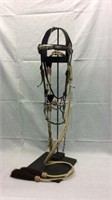 Navajo Headstall With Rawhide Reins And H