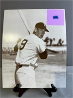 Ted Williams 11x14 Poster