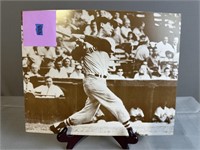 Ted Williams 11x14 Poster