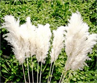 35-inch Tall White Pampas Grass Bouquet Decor - Bo