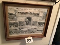 Vintage Framed Farm Photos