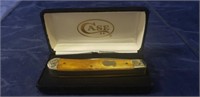 (1) Case xx Pocket Knife (New In Box)