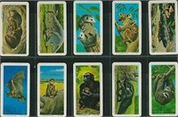 Brooke Bond Animals and Their Young 48 card set