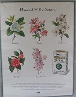 Flowers of the South White Lily Poster 19x24
