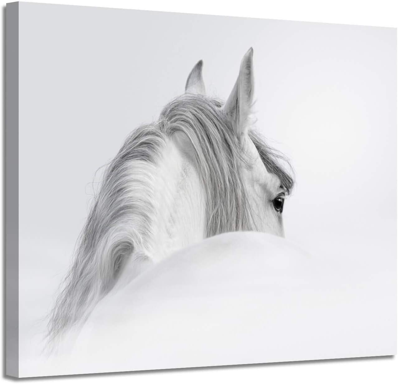 White Horse Canvas Art: 24W x 18H Painting
