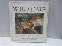 Wild Cats book