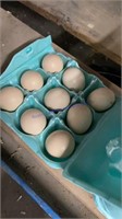 9 Fertile Lavender Silkie Eggs