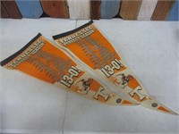 2 Tennessee Vols Championship Banners