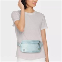 RFID Blocking Waist Pouch