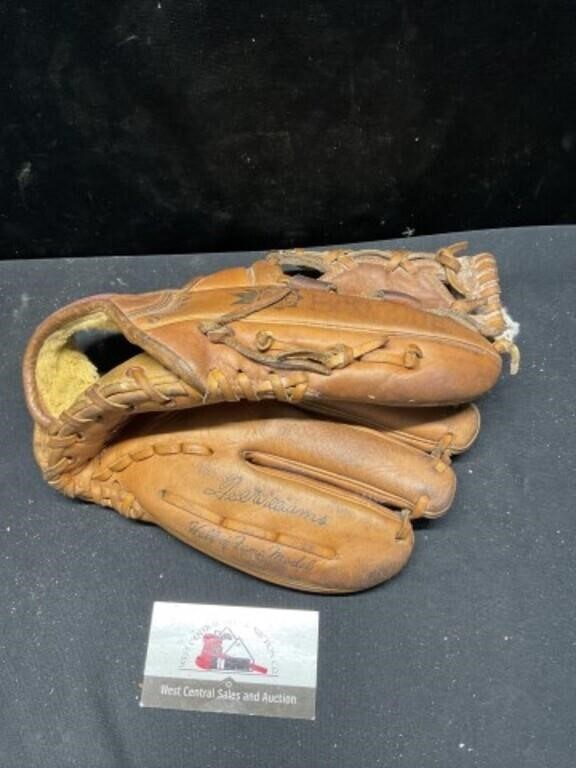 Ted Williams Sears and Roebuck Glove