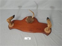 Vintage Deer Mount Gun Rack