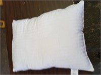 Gel Bed Pillow