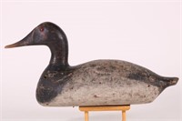 Canvasback Drake Duck Decoy, Solid Body,