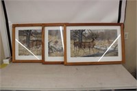 (3) Framed Deer Prints