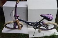 Schwinn Girl's Delite Bicycle