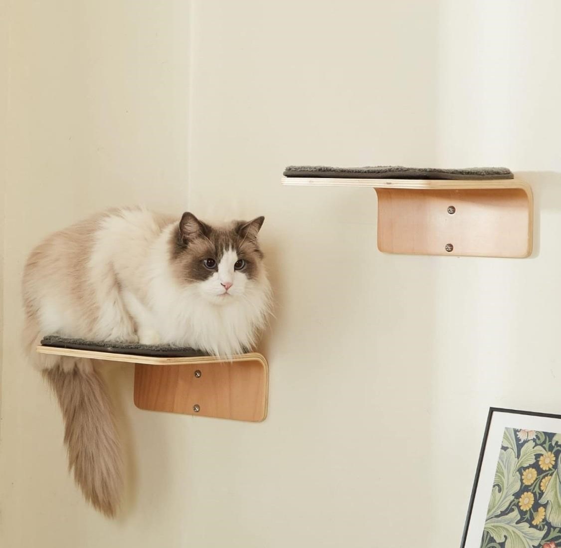 2 Set Cat Wall Steps - Wooden Cat Climbing