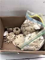 Box of Seashells