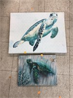 2cnt Canvas Turtle Pictures