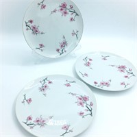 China Plates