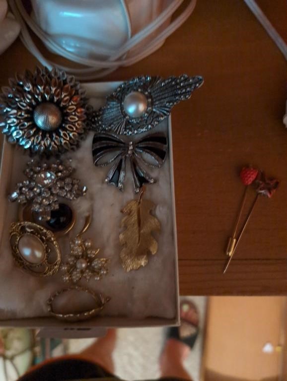 Brooches and had pins