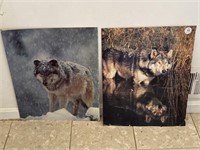 Animal Pictures 20x17in.