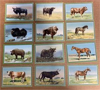 FARM ANIMALS: 22 x German Trade Cards (1936)