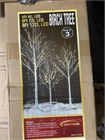 birch tree pack