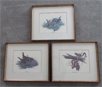 Three Framed Wildlife Prints