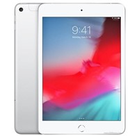 APPLE IPAD MINI 5TH GEN 2019 [7.9IN] WI-FI,