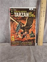 TARZAN OF THE APES COMIC BOOK