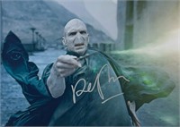 Autograph COA Harry Potter Photo