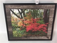 Framed Photo on Canvas - 18 x 22"