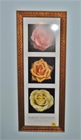 Framed Harold Feinstein "The Miracle of Roses"