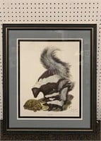 Ray Harm Signed Lithograph, Striped Skunk