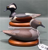 PR PAT VINCENTI MINI HOODED MERGANSERS