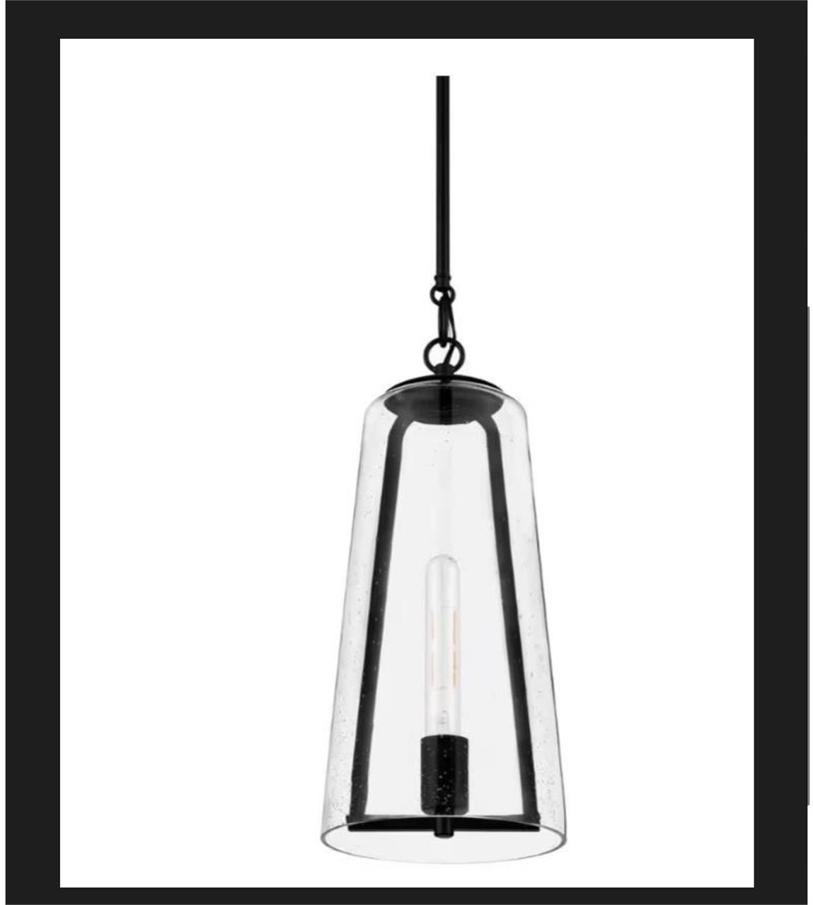 Home Decorators Collection 1-Light Pendant